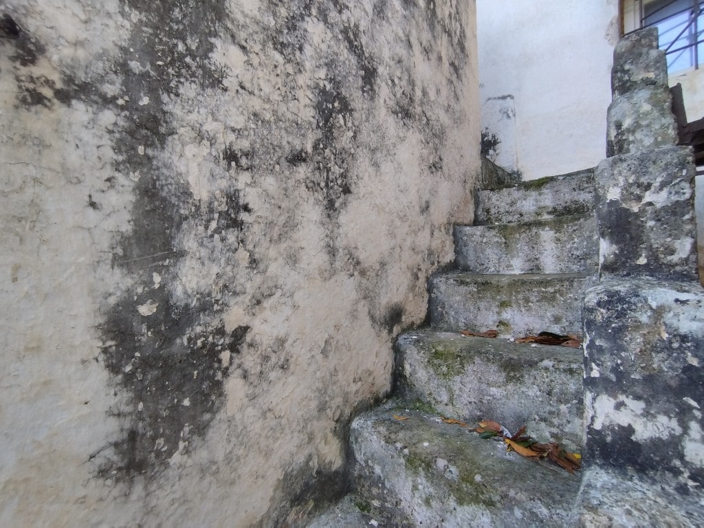 Giano Group Immobiliare